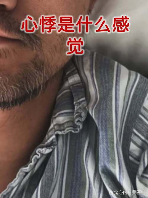 这此刻的心慌像是小鹿撞是什么歌截图