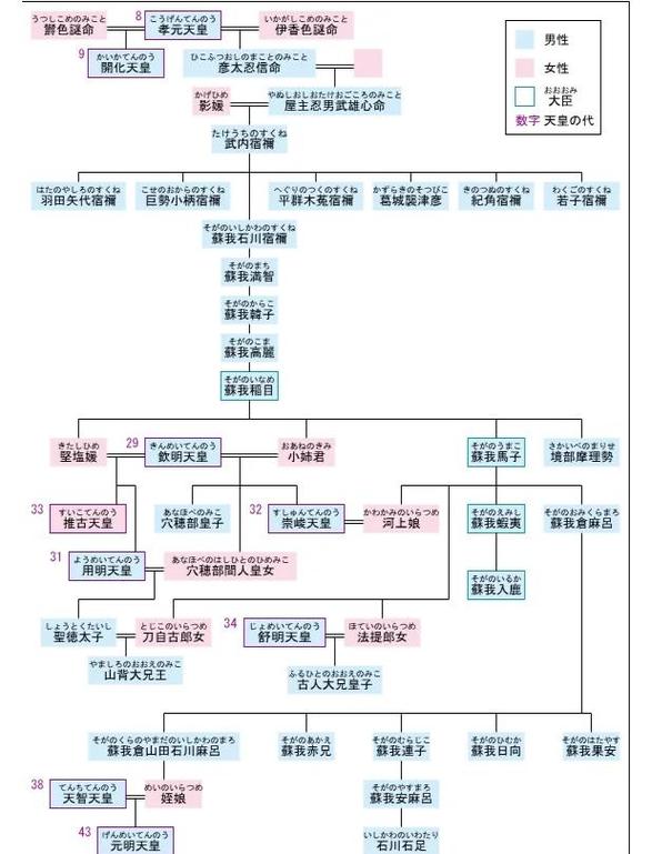 造化之王人物关系