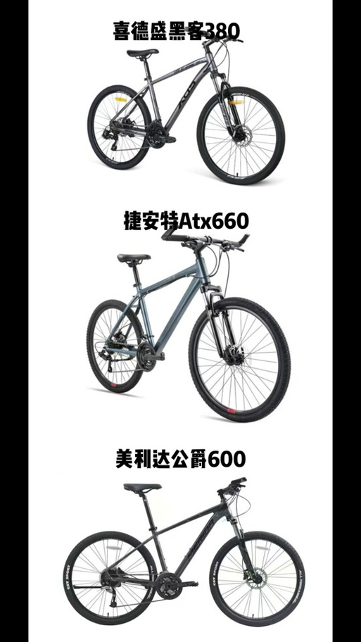 公路车选捷安特还是美利达
