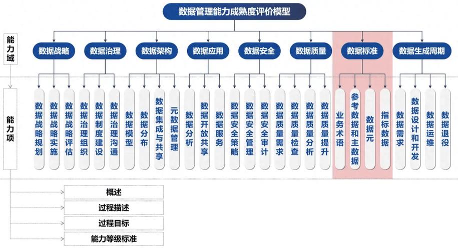 数字素养的内涵包括哪些方面