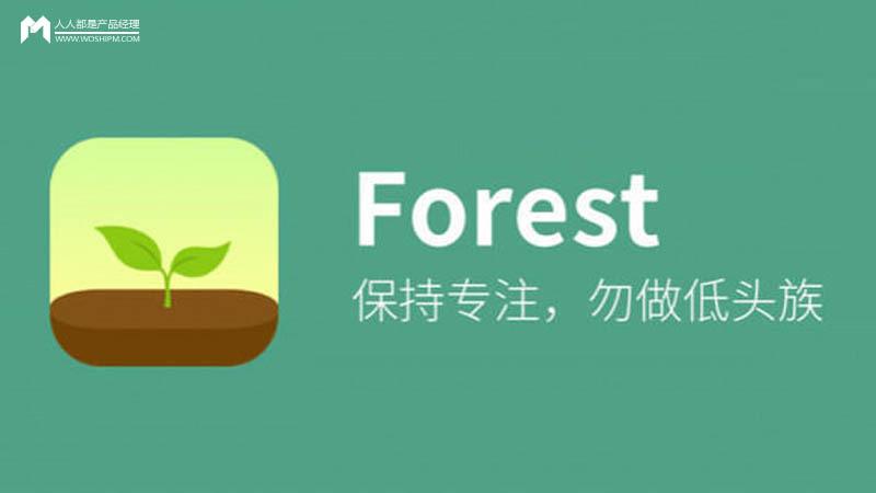 Forest 专注森林图标