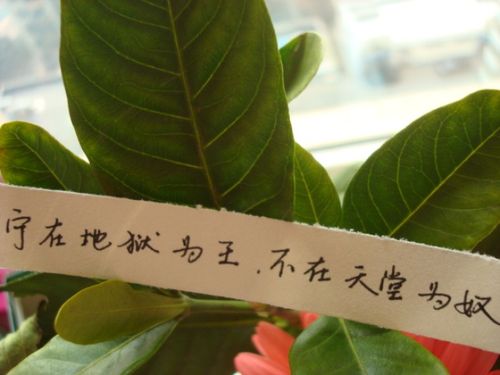 宁愿地狱为王
