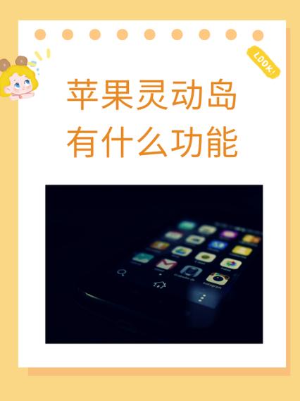 功能什么