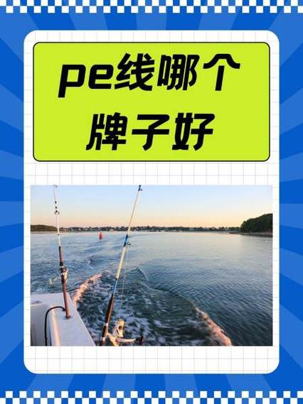 pe线最建议买三个牌子游戏截图