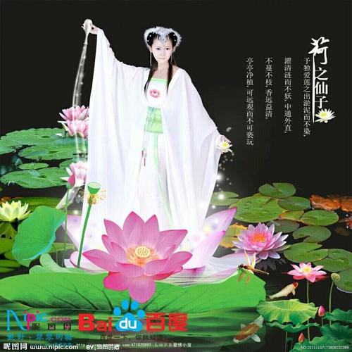 美人扶我风清志TXT下载