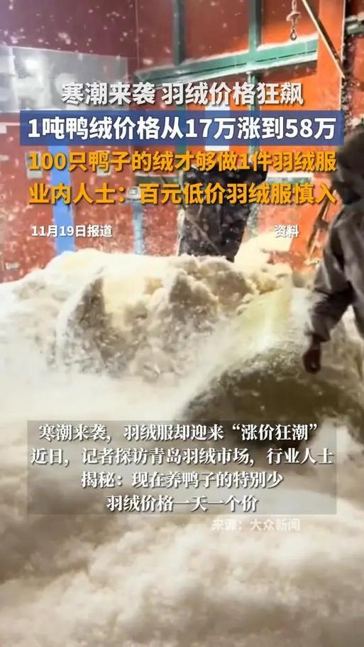 100只鸭子能赚多少钱
