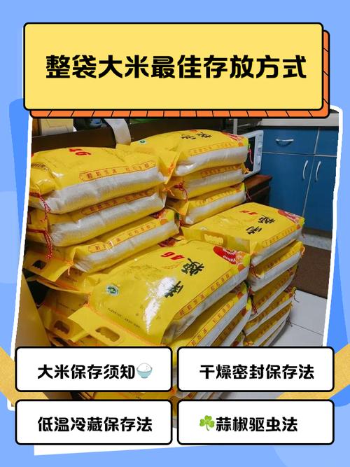 新米怎么存放
