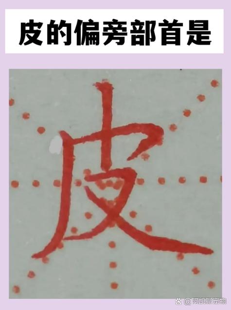 带“皮”字偏旁的字