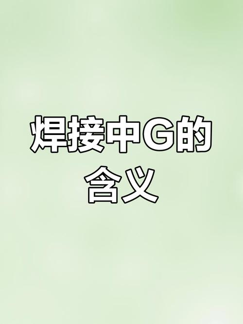 g视频是什么意思
