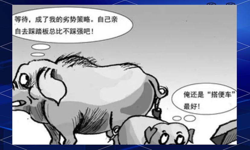 智慧猪博弈