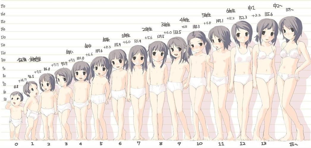 女孩的发育过程