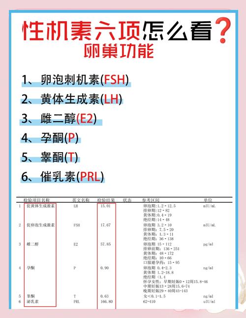 LH中文意思缩略图