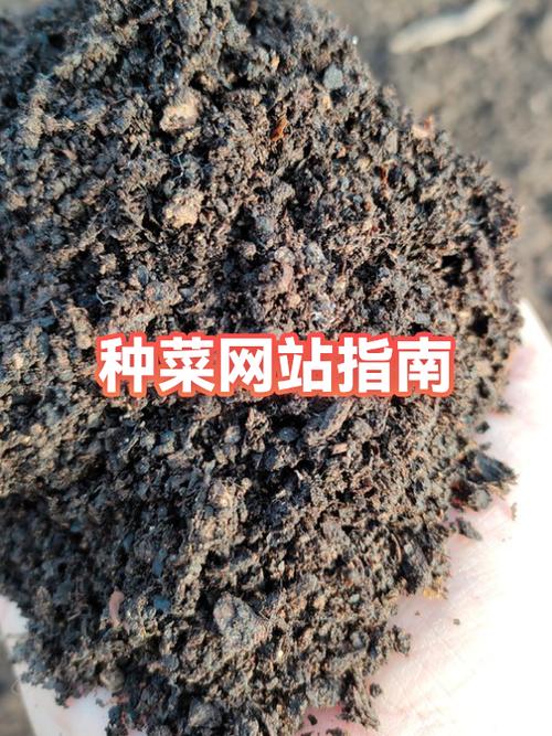 种菜可以领东西是什么平台
