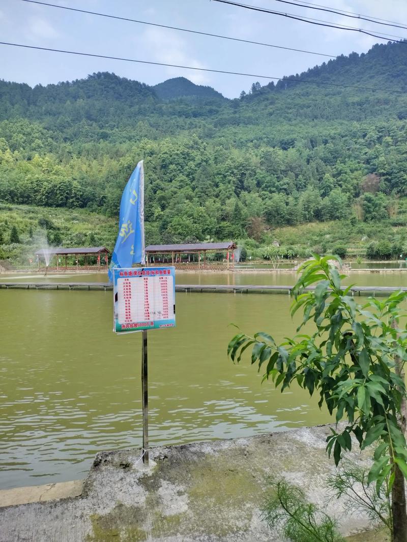我家后山是渔场截图