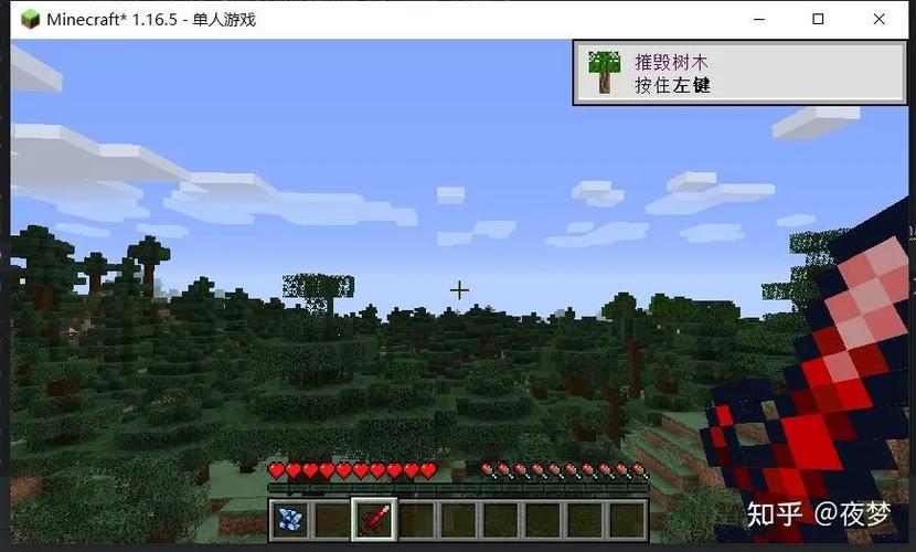 我的世界1.16.2.1