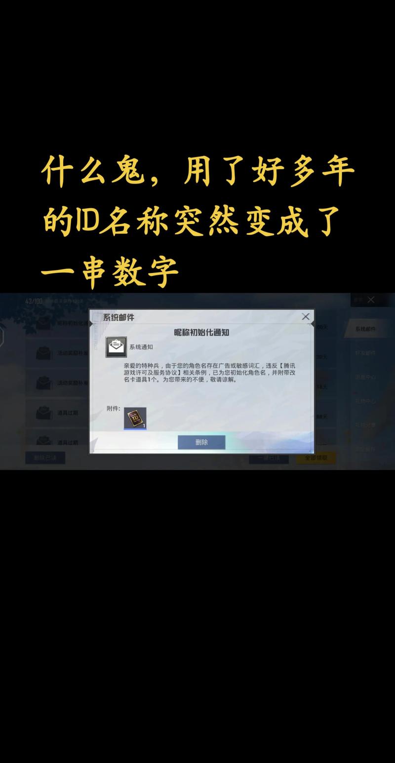 和平精英数字id是什么意思啊