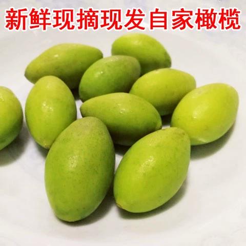 橄榄 青果