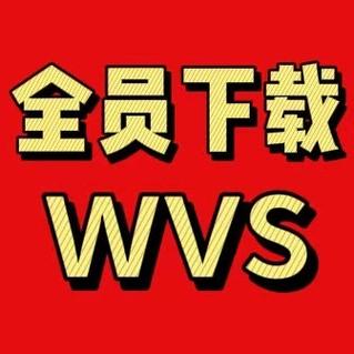 韩国wvs是什么平台