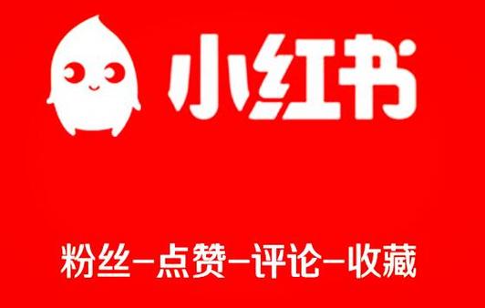小红书1000赞算火了吗