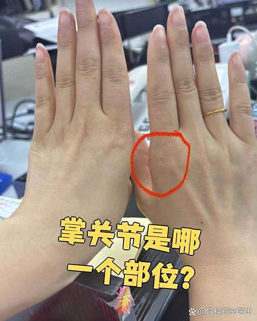 掌指是哪个手指