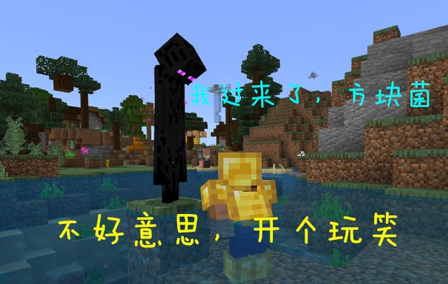 我的世界永远黑夜指令截图