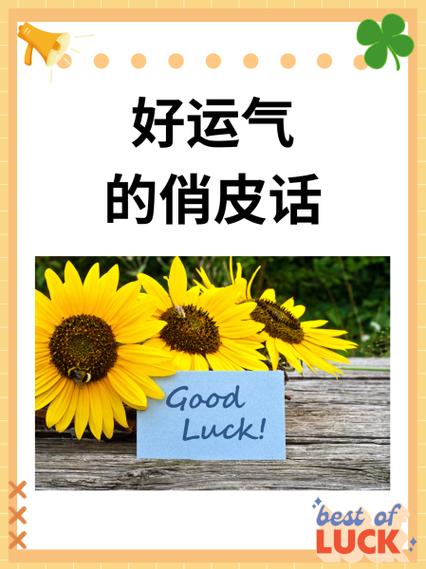 怎么提高运气最好的方法
