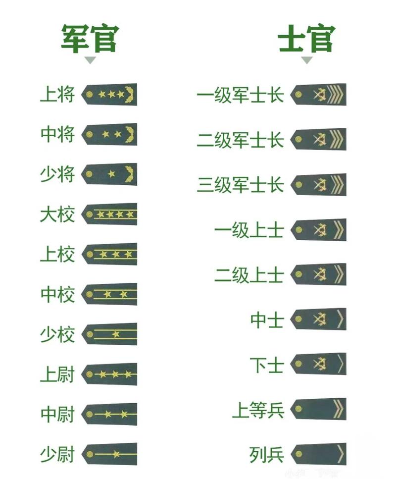我国部队军衔等级游戏截图
