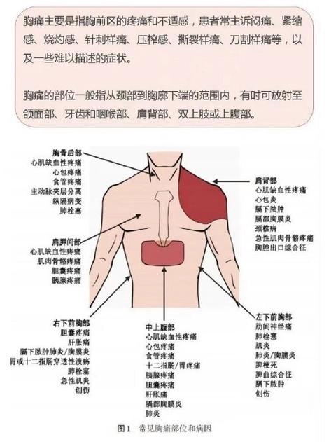 人体疼痛对照表图