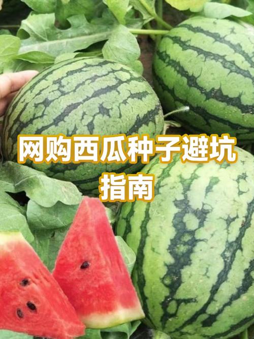 新手卖西瓜小技巧