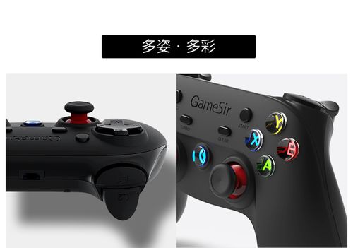 小鸡模拟器tv版支持哪些手柄