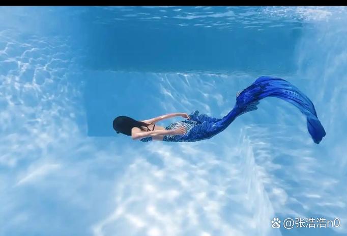 我的美人鱼夫郎(女尊)