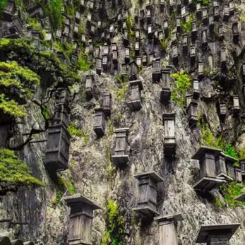 旅者之憩蜂箱怎么用