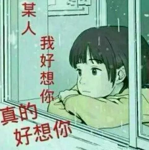 我想你了可以随便说吗