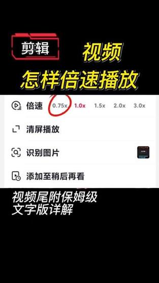 播放视频倍速是什么意思