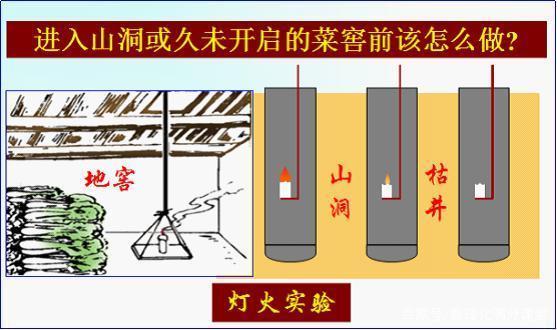 久违开启的地窖