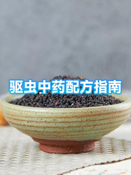 中药生虫了除虫的最佳方法