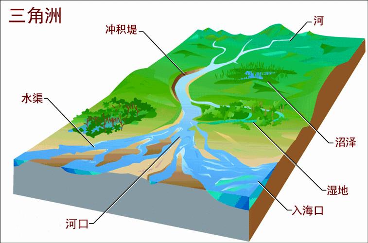 冲积平原