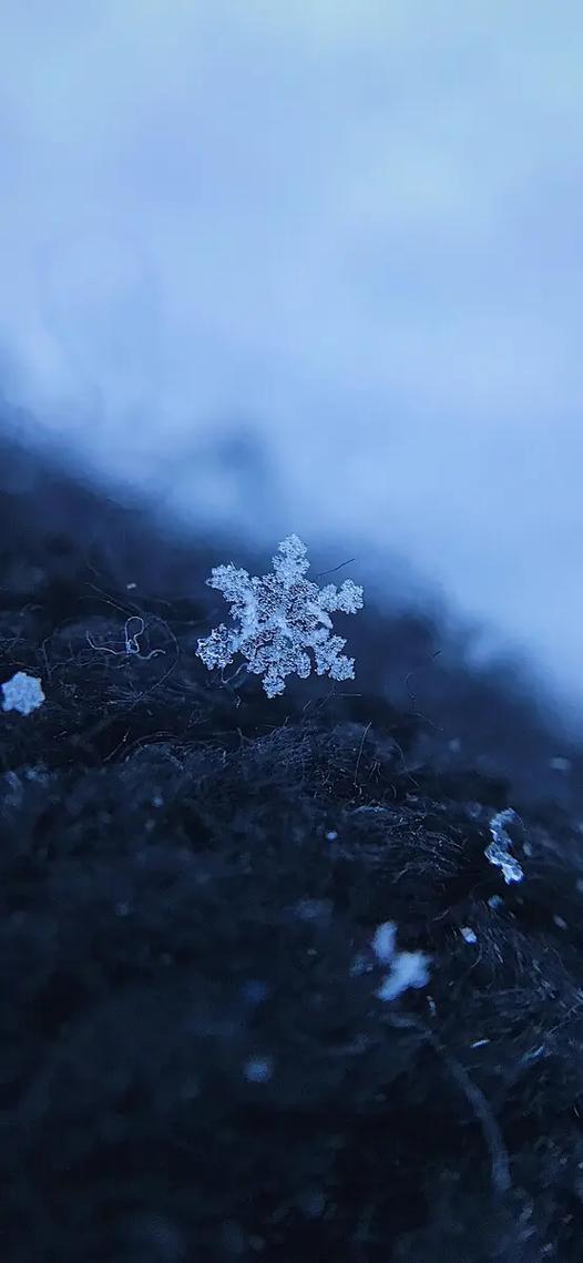 雪花的样子图片