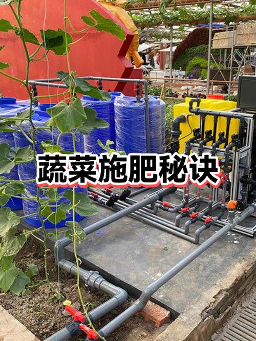 今日头条极速版种菜怎么施肥
