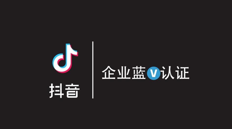 蓝v号是什么意思