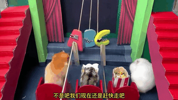 逃离ABC字母怪