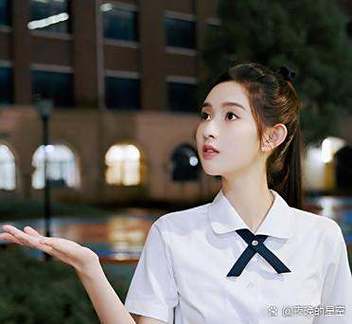 完美校园输入人像怎么设置