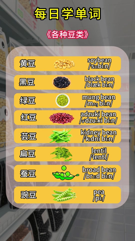 糖豆的英文单词怎么写