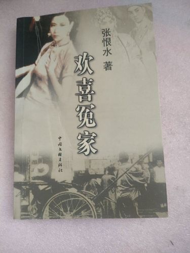 张恨水欢喜冤家小说