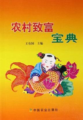 农村好项目致富项目