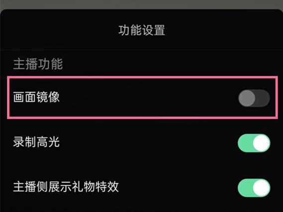 镜像模式什么意思