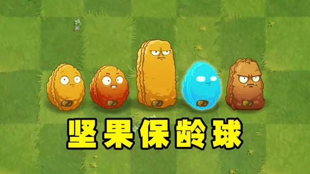 坚果保龄球怎么过