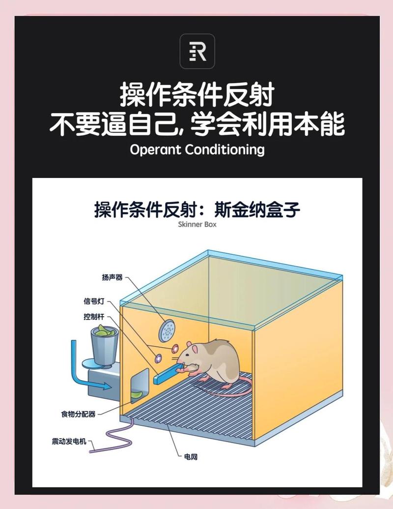 刷怪箱的物理特性
