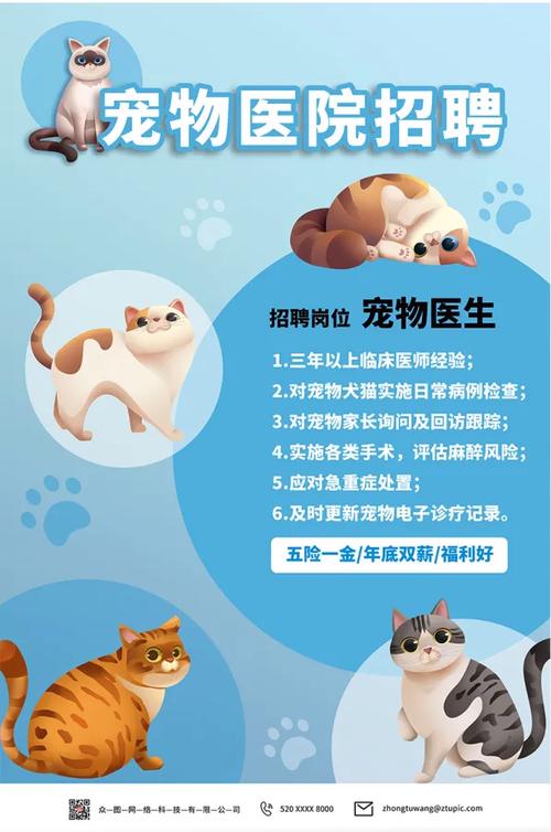 猫咪宠物医生在线咨询免费