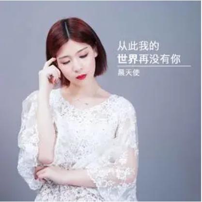 《我的世界从此没有你》歌曲